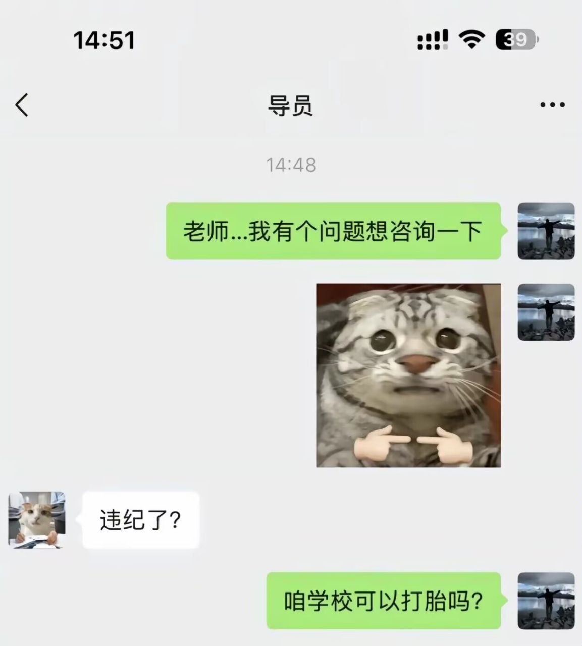 https://media.pincong.rocks/19c1c166a6414ed1adab83e57cfb62ea.jpg?width=1153&height=1280