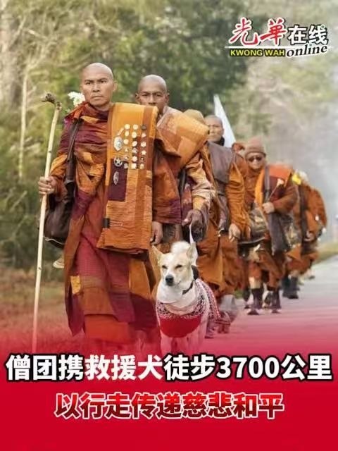 https://media.pincong.rocks/1e9a6c59744c4b7a98d6ab7f381e12b4.jpg?width=480&height=640