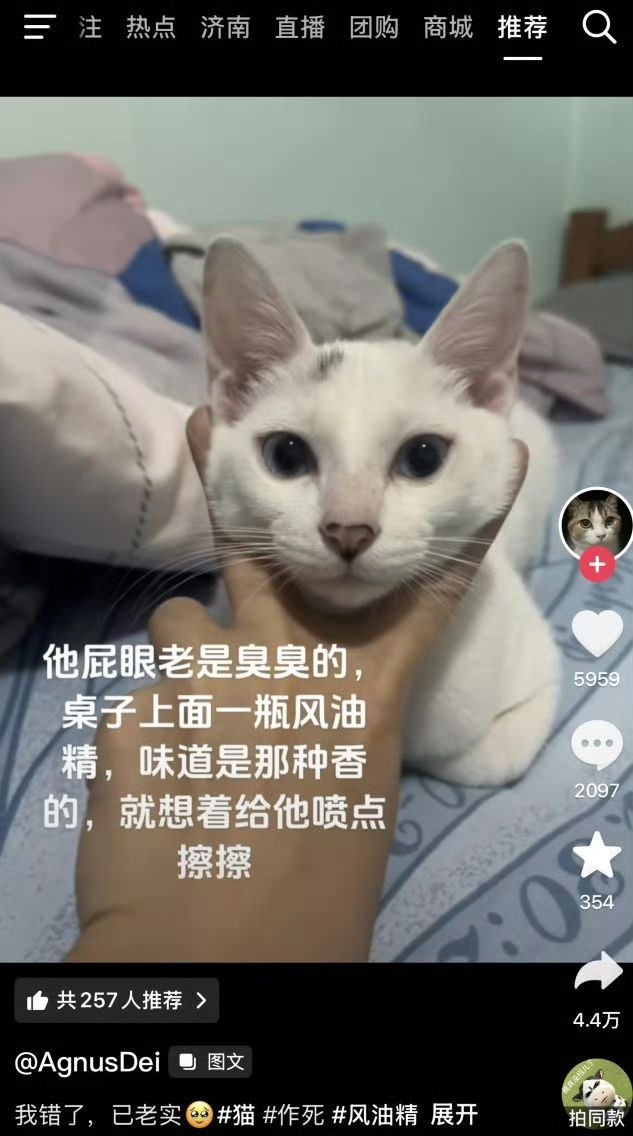 https://media.pincong.rocks/1f72780818fb499eb6777a30a3d31f03.jpg?width=633&height=1136