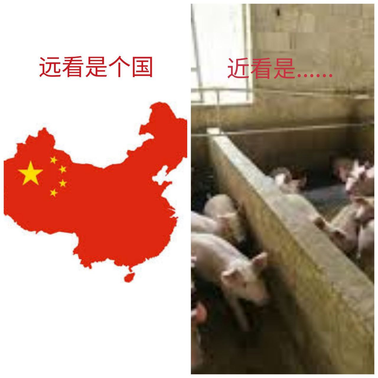 https://media.pincong.rocks/24332882aa5048a5a48aff1eb6f777fa.jpg?width=1280&height=1280