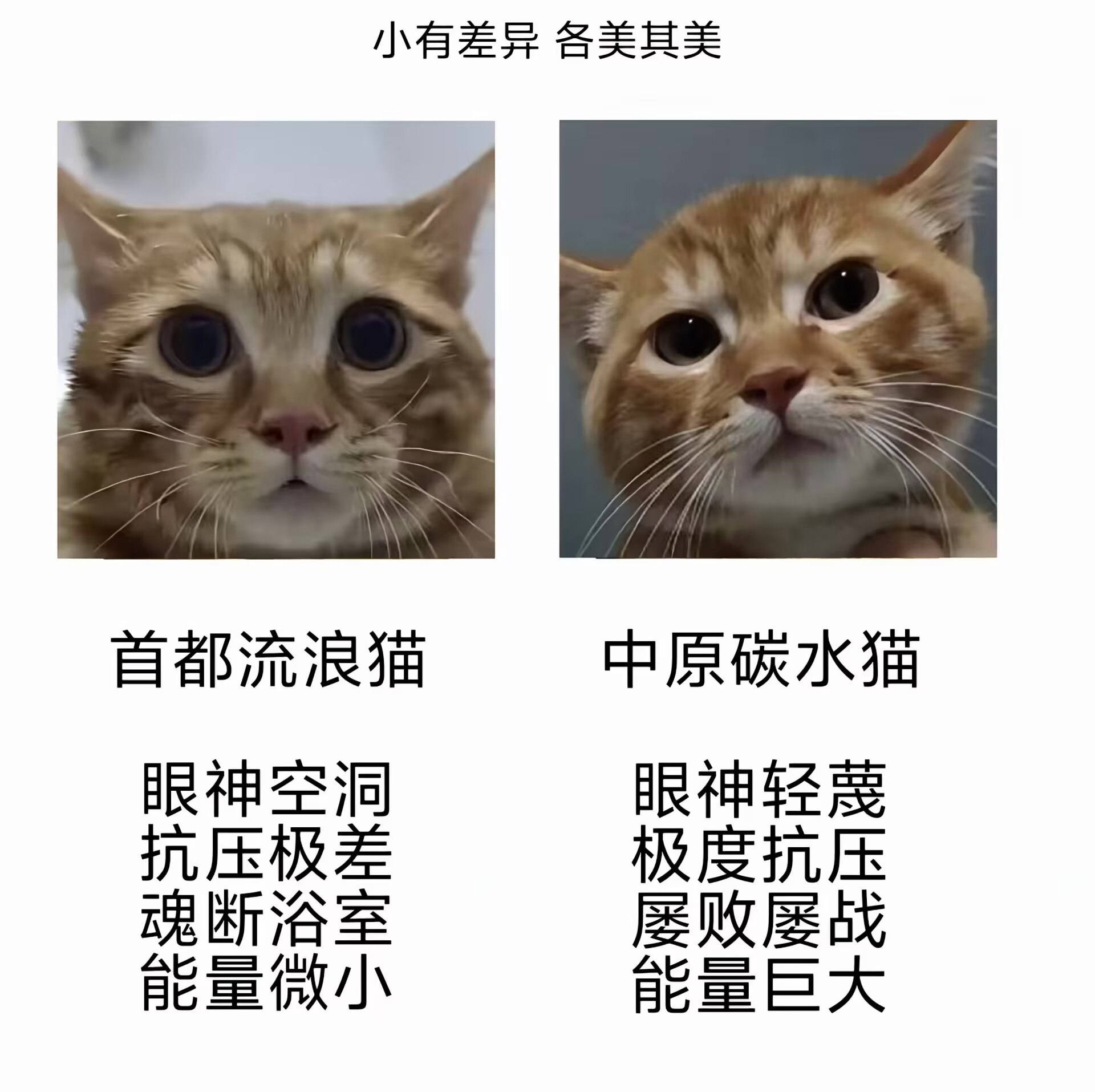 https://media.pincong.rocks/2837c5d8a44d466a8898a032ffbae677.jpg?width=1920&height=1914