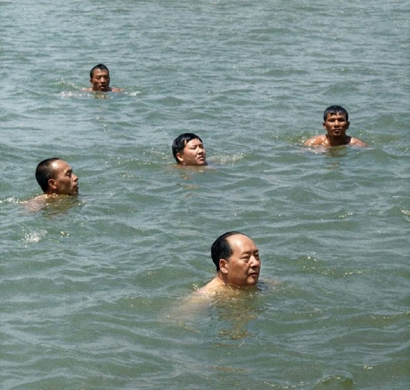 https://media.pincong.rocks/49355c1e2f804bbdb0dcf6ab297ea295.jpg?width=800&height=761
