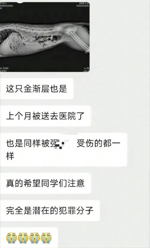 https://media.pincong.rocks/4b7735bcc31a41d8a7fa954a23fe9a96.jpg?width=484&height=800