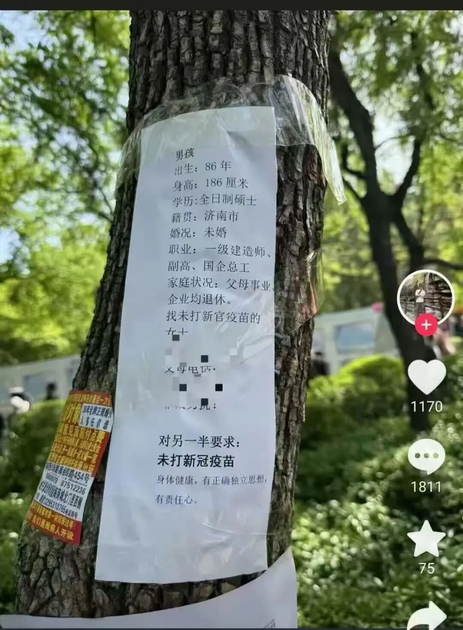 https://media.pincong.rocks/5334cc2809794cf9a0eb66f0136ae7a8.jpg?width=941&height=1280
