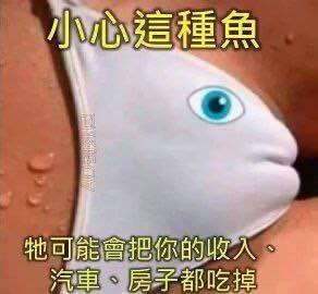 https://media.pincong.rocks/54bb3a4ee42c4f908b1ad89faf75420d.jpg?width=292&height=270