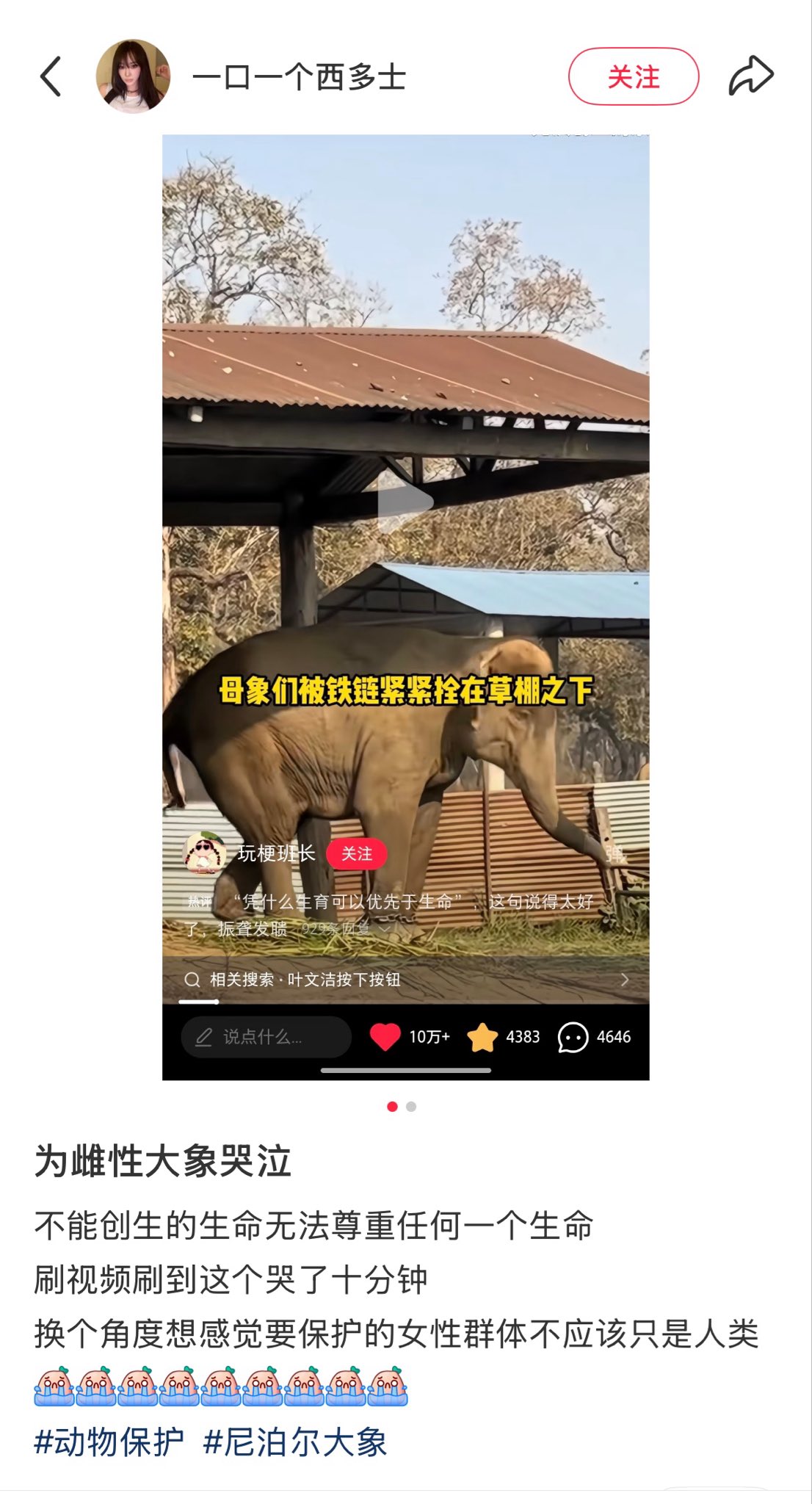 https://media.pincong.rocks/56bc036aa6804ed3a8e1c43f29f1a484.jpg?width=1106&height=2048