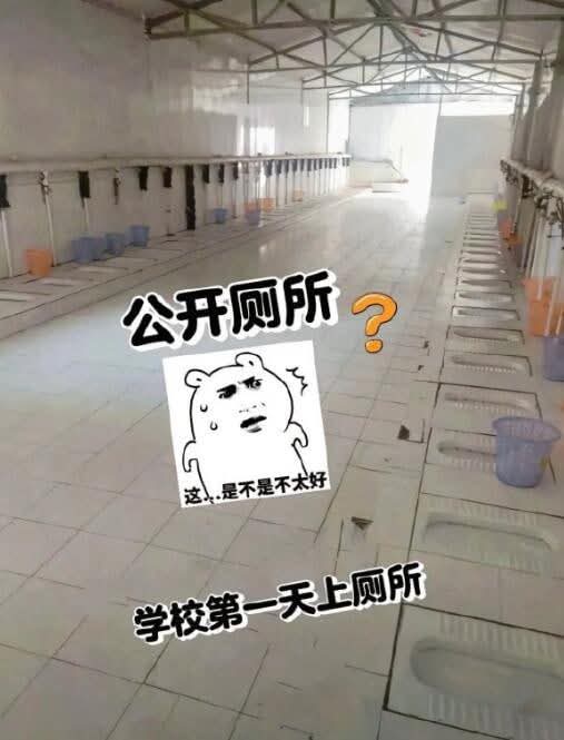 https://media.pincong.rocks/65a71b56ff594bbf8195dd04fb2841a7.jpg?width=507&height=665
