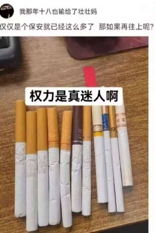 https://media.pincong.rocks/6805f130141d424bbe088d2700cbc701.jpg?width=531&height=800
