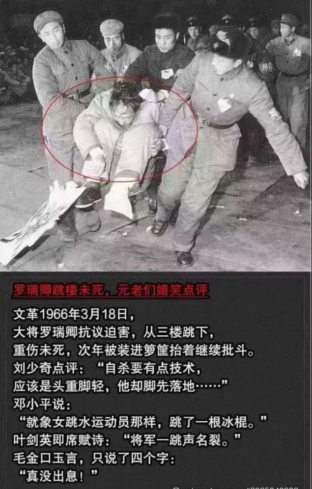 https://media.pincong.rocks/6dafd980c48a4f4fa28c121a4357f8cc.jpg?width=635&height=996