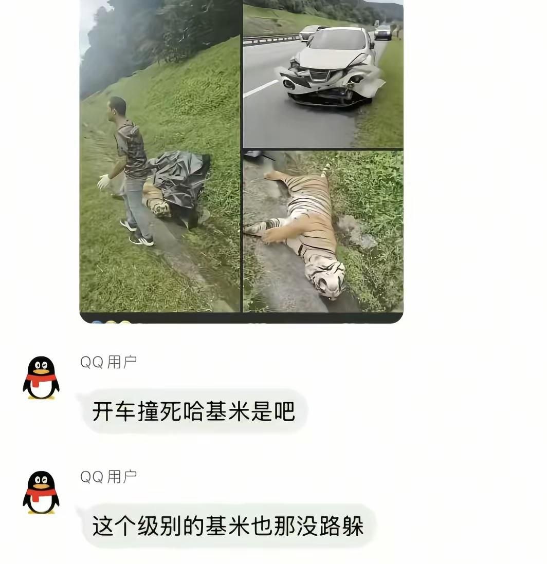 https://media.pincong.rocks/72f81ae596b64033a48ffb74e82f47ec.jpg?width=1064&height=1098