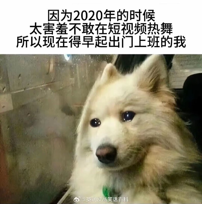 https://media.pincong.rocks/756b4730b72f4b3eac6fb26773b9fc76.jpg?width=794&height=800
