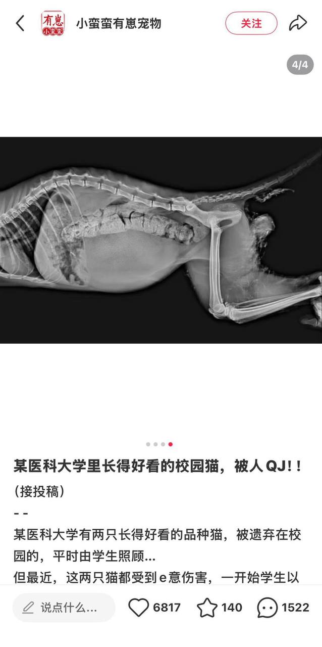 https://media.pincong.rocks/75a57ee350594b76a59968ffc7bbbf12.jpg?width=638&height=1280