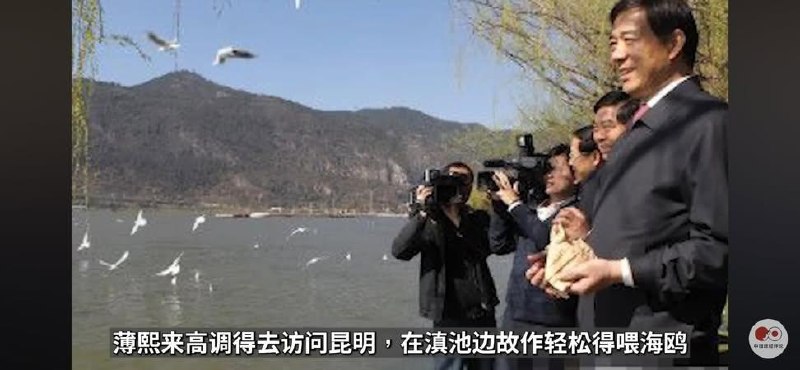 https://media.pincong.rocks/76478ab0c76544eba2a0a5c9919cf835.jpg?width=800&height=370