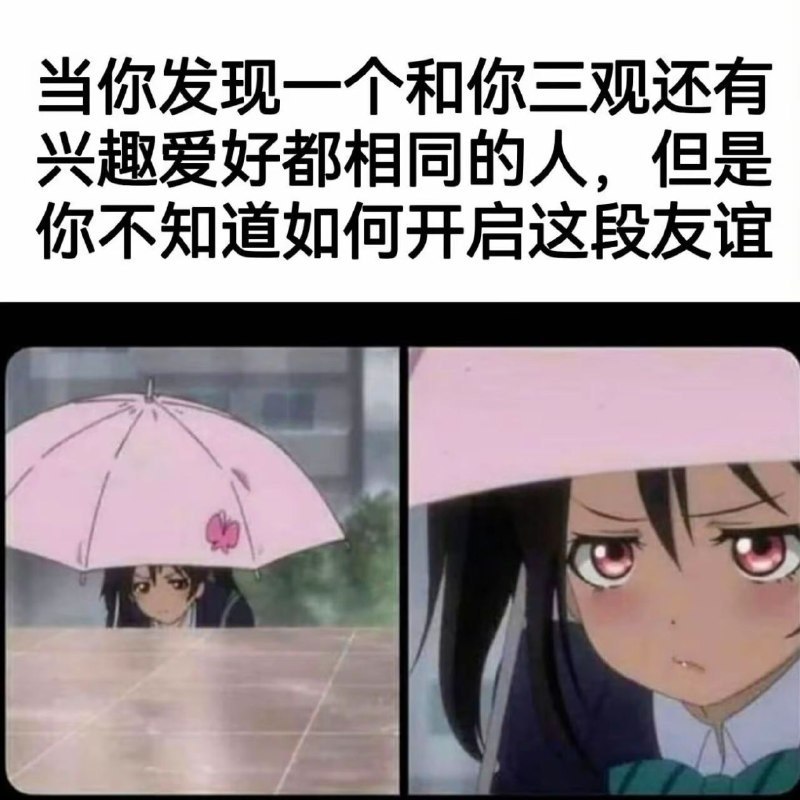 https://media.pincong.rocks/80cbd263b5b241539e847de585969a08.jpg?width=800&height=800