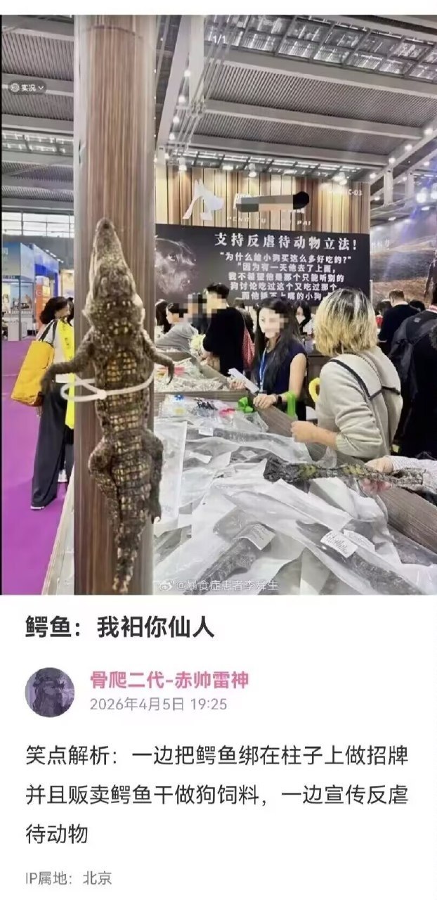 https://media.pincong.rocks/826efa5fe03a471499d307e635b30841.jpg?width=622&height=1280