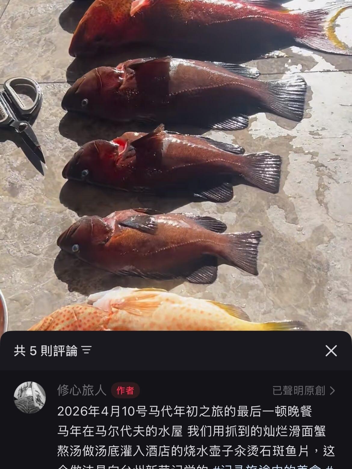 https://media.pincong.rocks/844ebdbec02f44a7a872a62ed2a4471f.jpg?width=1170&height=1560