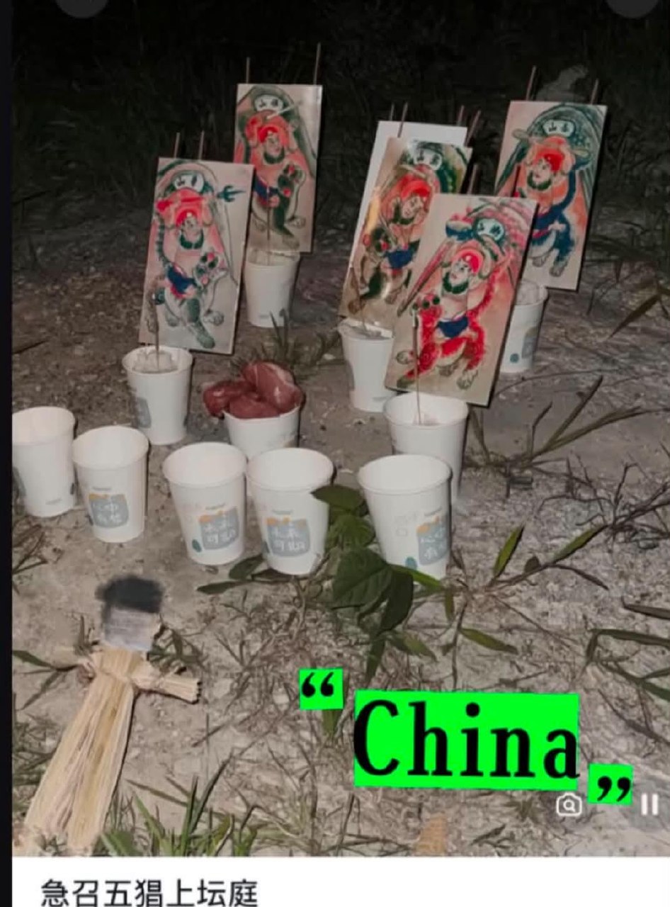 https://media.pincong.rocks/8688dc491c5945f5b4472d8618cd98eb.jpg?width=946&height=1280