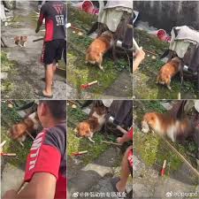 https://media.pincong.rocks/8ab946ba8e7040f9bb191d230b14f22a.jpg?width=225&height=225
