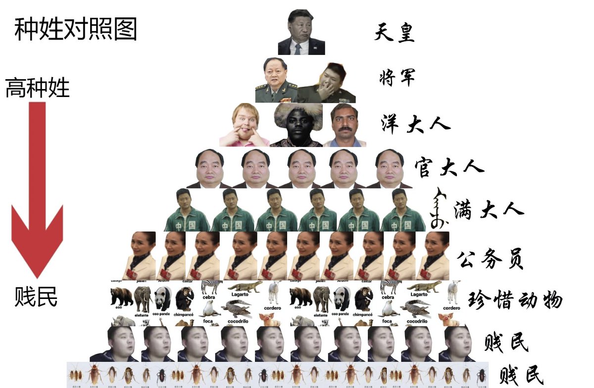https://media.pincong.rocks/8ff3692117e8413fb025faa11df98b50.jpg?width=1200&height=784