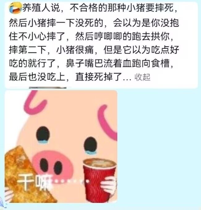 https://media.pincong.rocks/9116f81550db4755b8d62b548df70dd8.jpg?width=651&height=680