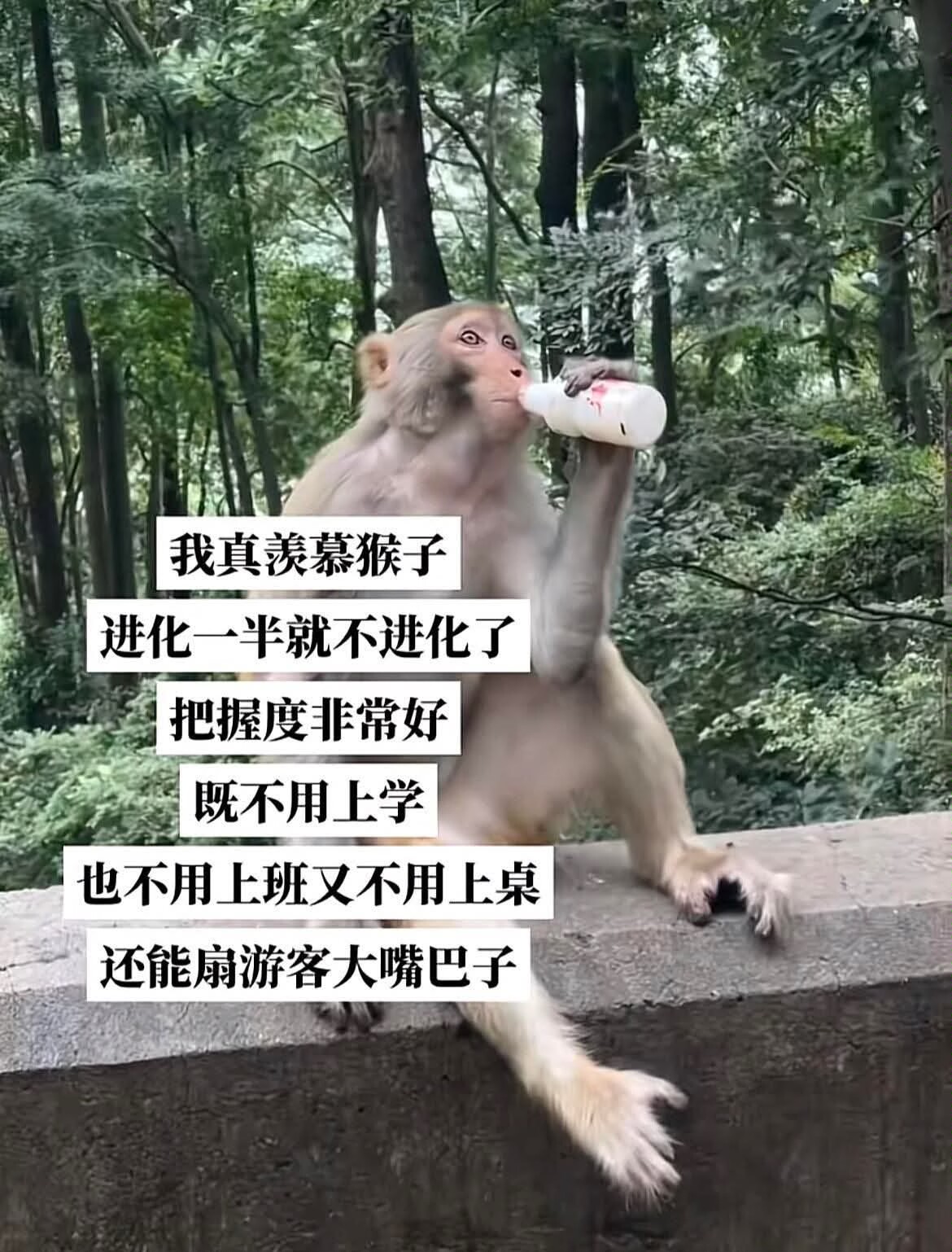 https://media.pincong.rocks/98e156729cfe438e8d6c8c8305b2f33e.jpg?width=1170&height=1538