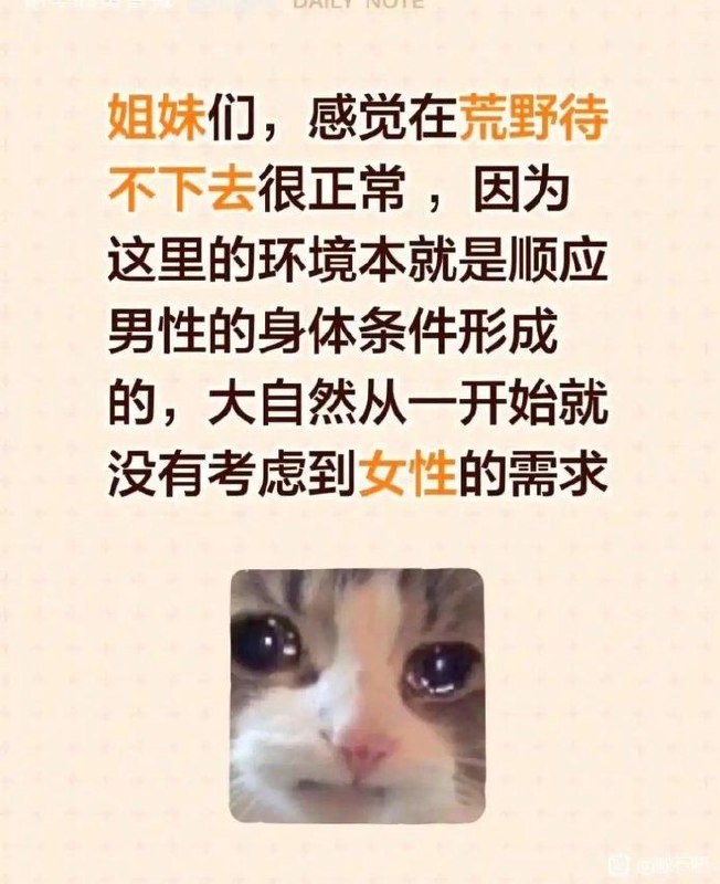 https://media.pincong.rocks/9b21c7ee02b24e798f1c1ad0160fdf90.jpg?width=652&height=800