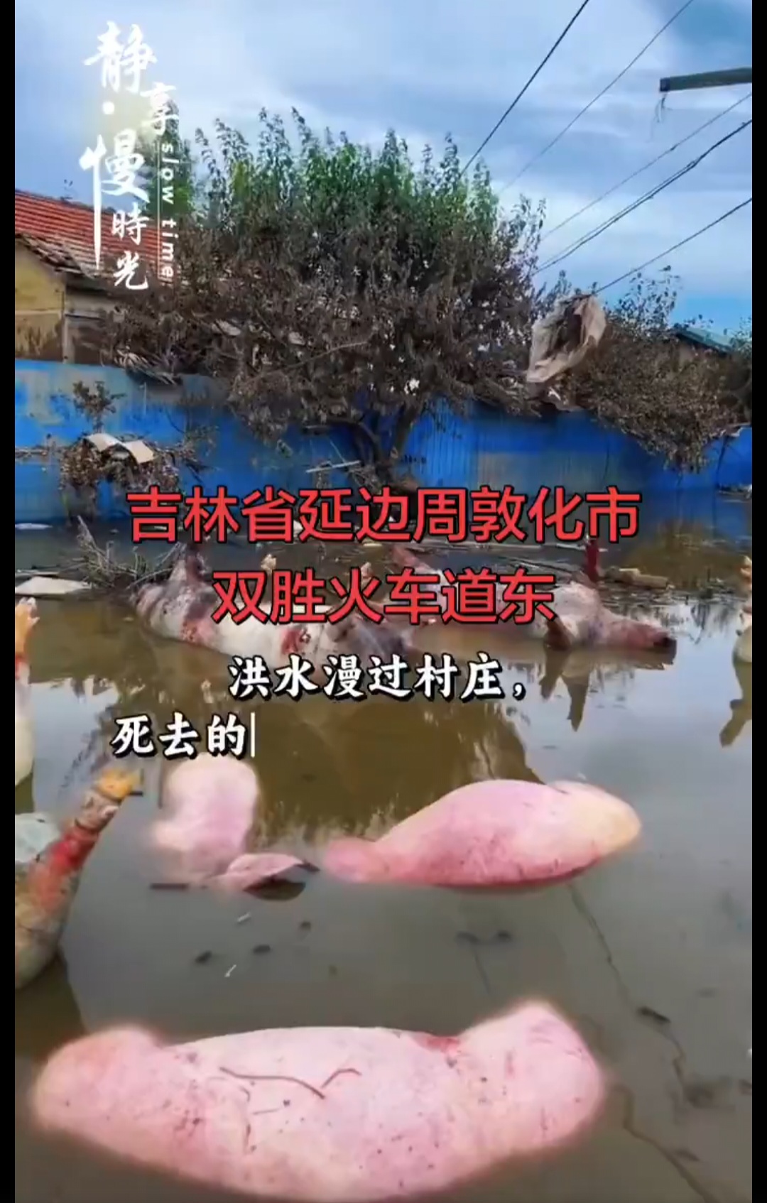 https://media.pincong.rocks/9ca93a0b83d942ca87451fa939ddabbe.jpg?width=1080&height=1694