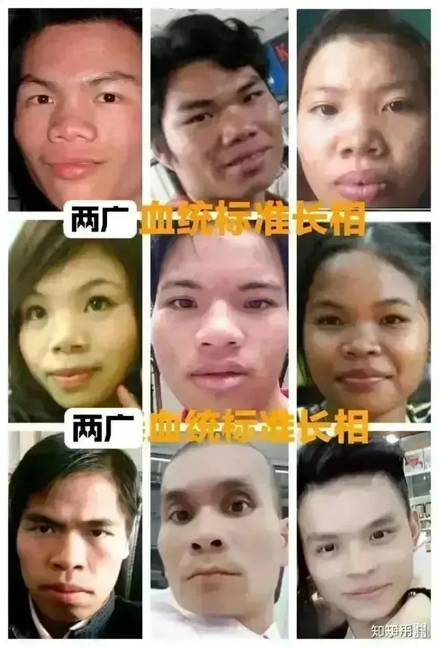 https://media.pincong.rocks/9d4026b8149f4a1580b322fa73ebce47.png?width=640&height=944