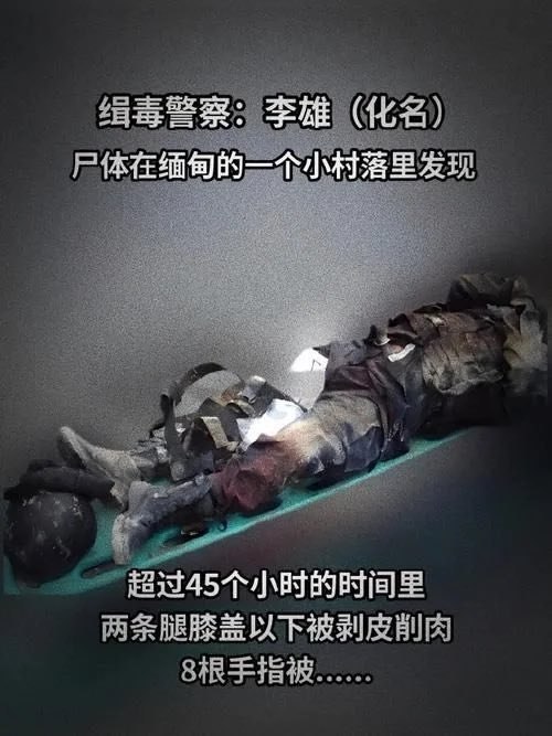 https://media.pincong.rocks/a5b8d0abd5a24fe693c556d17f56aacd.jpg?width=500&height=667