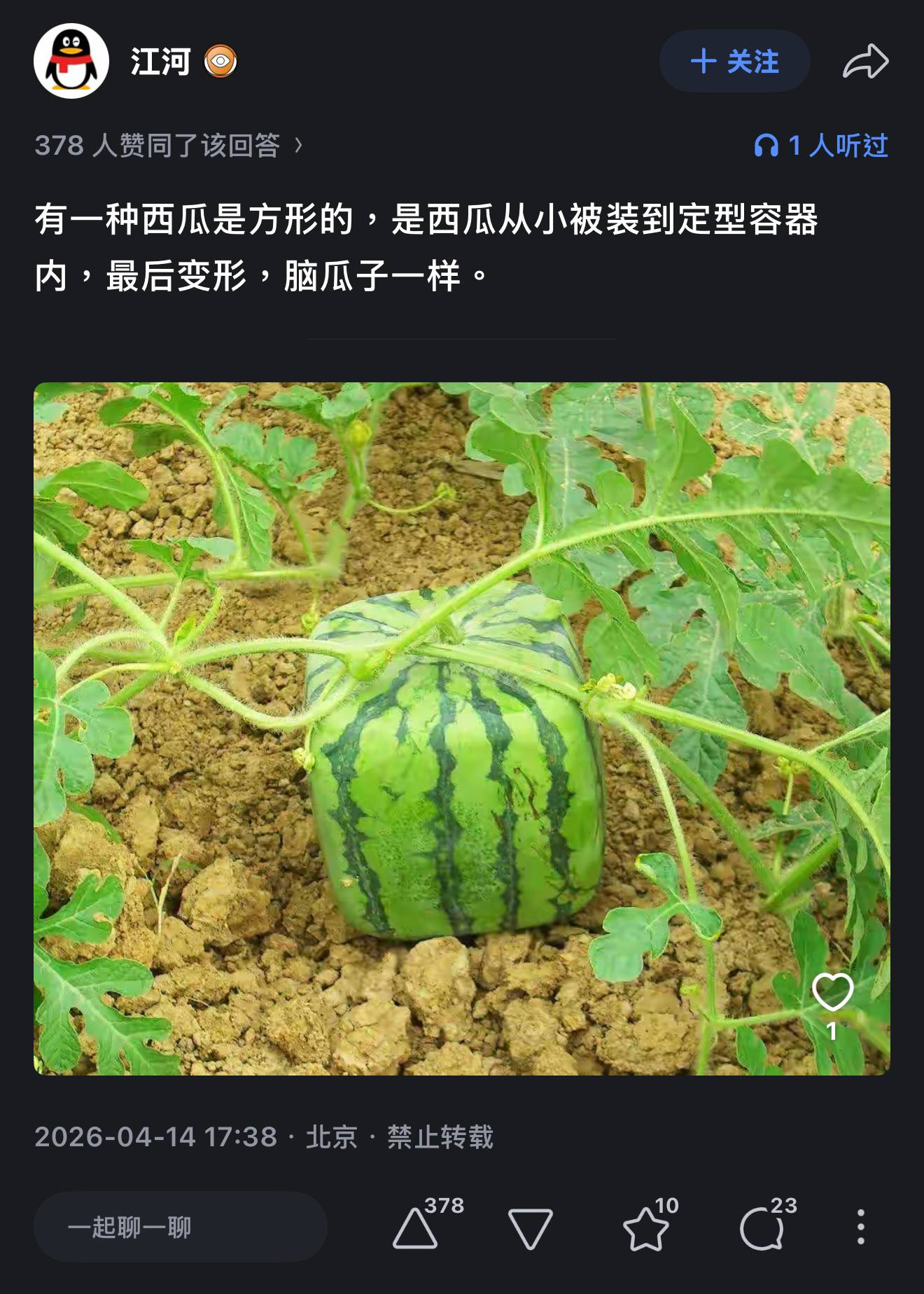 https://media.pincong.rocks/a5ba1ff9a61d4cfa9976e6b640836298.jpg?width=1320&height=1848
