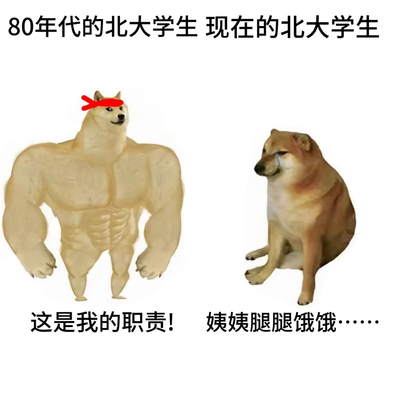 https://media.pincong.rocks/a5ce15ff56a54663abdeab90791f74ec.jpg?width=1280&height=1280