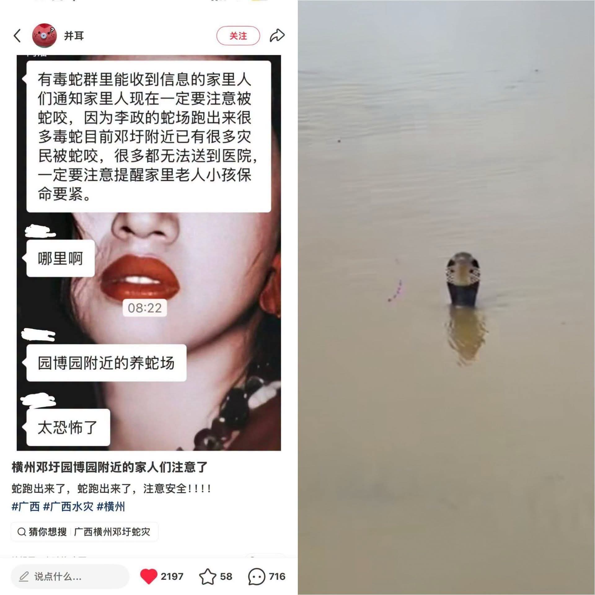 https://media.pincong.rocks/aae34dae8aab4e86a741fb395b566d5f.jpg?width=1920&height=1920