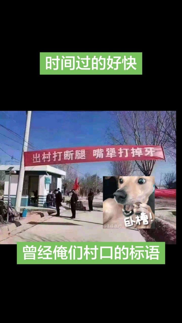 https://media.pincong.rocks/ac0433dabe02401797c109ab1a9bf327.jpg?width=720&height=1280