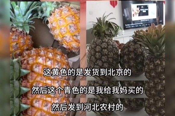 https://media.pincong.rocks/b21516e1859148cfb78bd469652f9ed0.jpg?width=581&height=385