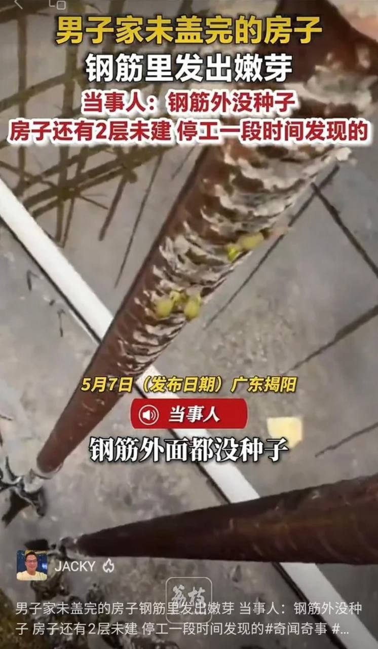 https://media.pincong.rocks/b4b92d41de5c48ceab32442200efa998.jpg?width=746&height=1280