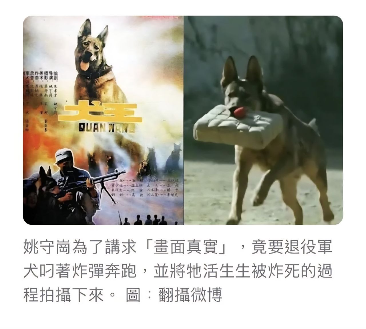 https://media.pincong.rocks/b5bc496879af4670a9fe31e9a18a300c.jpg?width=1280&height=1151