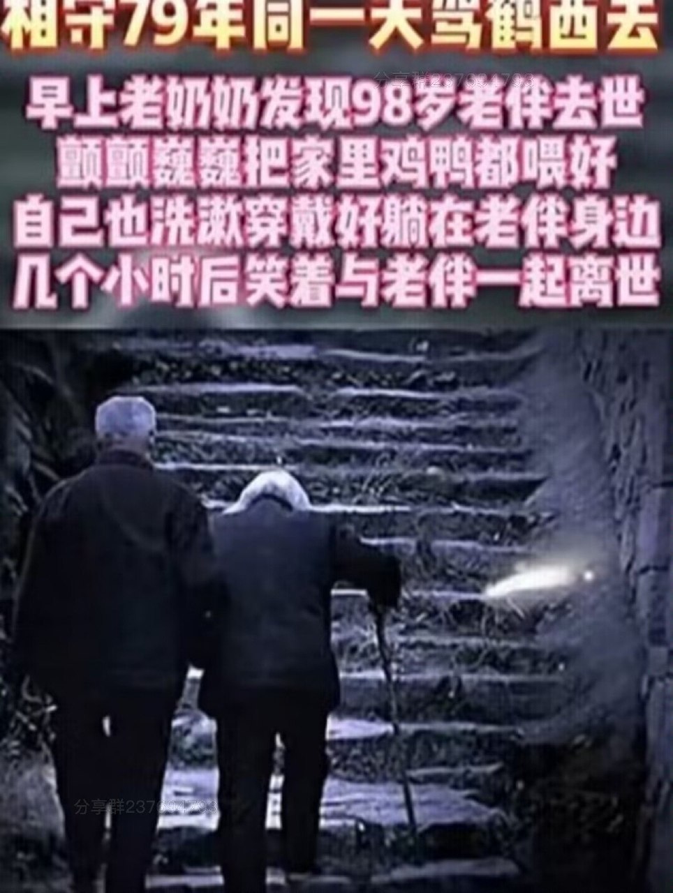 https://media.pincong.rocks/b7374dc7c5154aa2a429a765af757568.jpg?width=964&height=1280