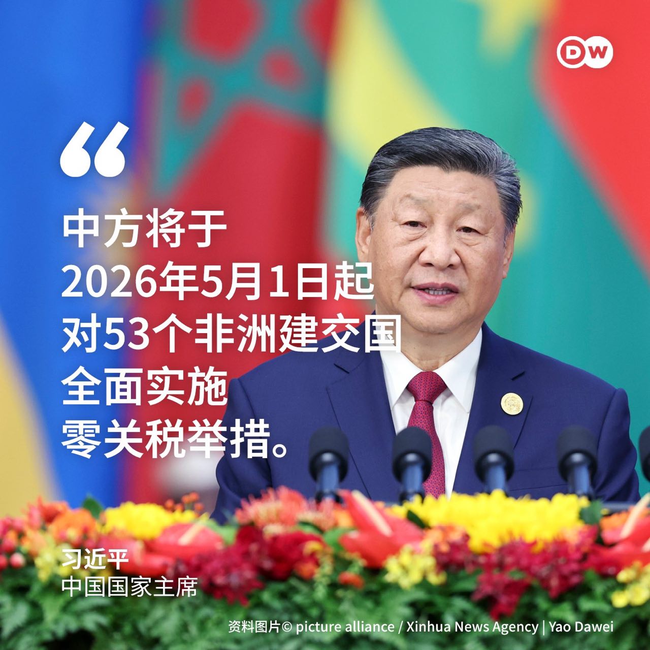 https://media.pincong.rocks/bce62030e34a46408905e029b9d85c08.jpg?width=1280&height=1280