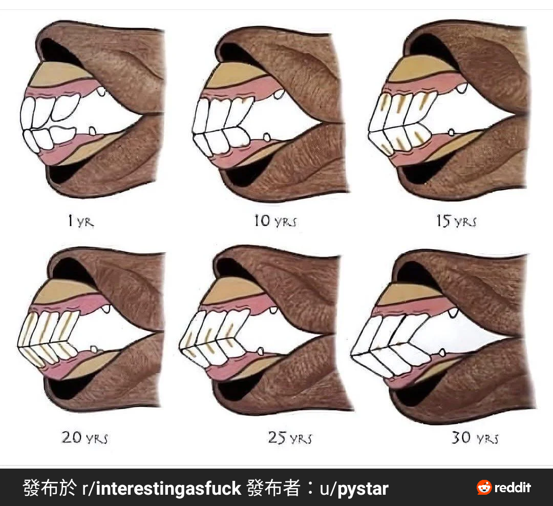 https://media.pincong.rocks/bf09cc7fa2d74eeeb7f2aade9bd4e483.png?width=1080&height=987