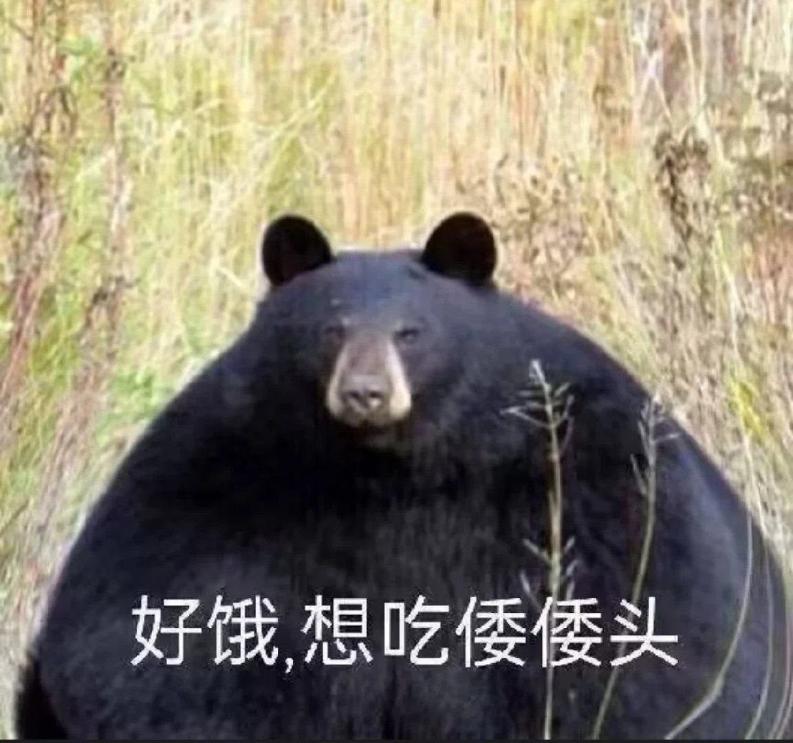 https://media.pincong.rocks/c2f007ff60bf475aa00713a37b3cecfa.jpg?width=1153&height=1080