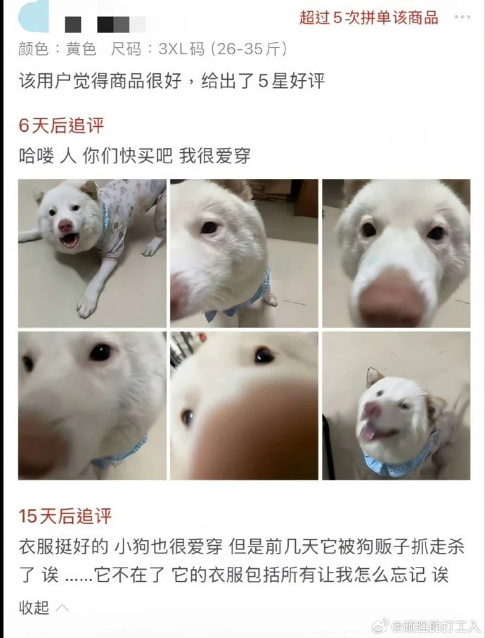 https://media.pincong.rocks/c360bf03fbd94af99c51ff97bd5a6c72.jpg?width=690&height=906