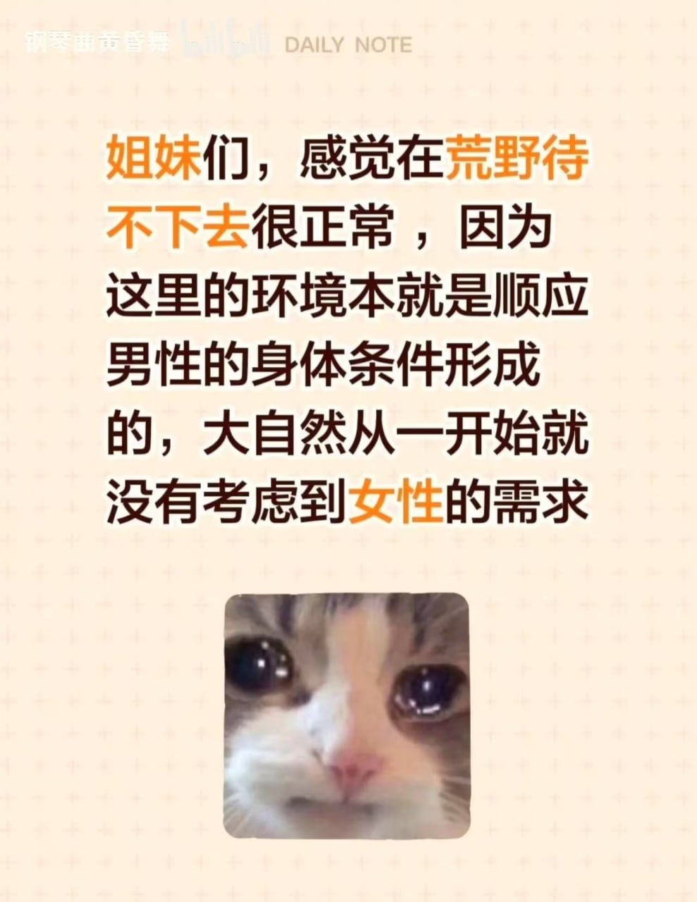 https://media.pincong.rocks/c59eb773ec684885a734092d0c2f60eb.jpg?width=989&height=1280