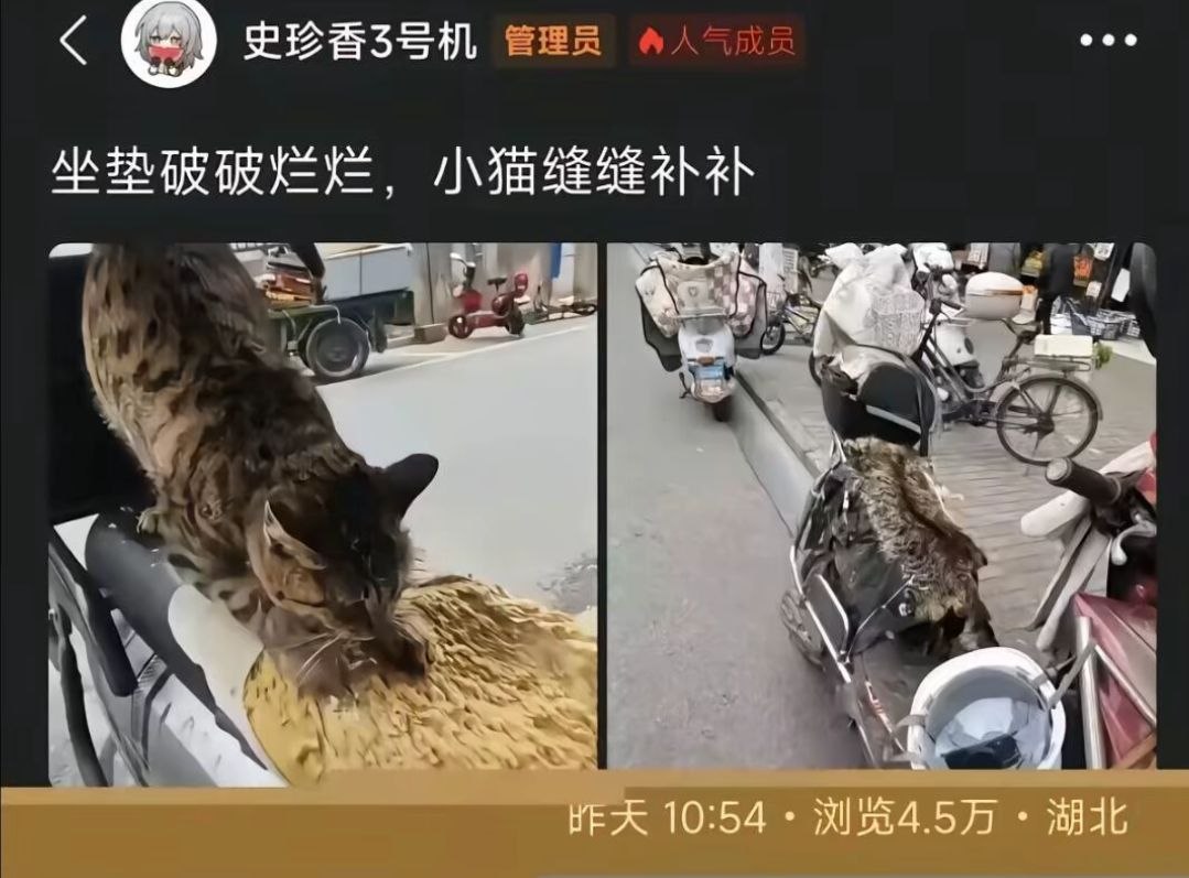https://media.pincong.rocks/cf01b77202a142e5914d37ce42fc8e54.jpg?width=1079&height=797