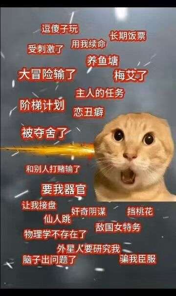 https://media.pincong.rocks/d21c60197ca14a11816886e691670e4b.jpg?width=360&height=604