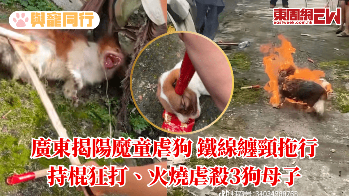 https://media.pincong.rocks/dcaf1e2010094c3b92bd08e088d2d7b2.png?width=1200&height=675