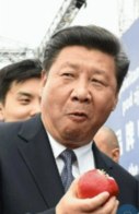 https://media.pincong.rocks/e5ee3eedc4e846d5b5aa8dfd35945e1d.jpg?width=127&height=196