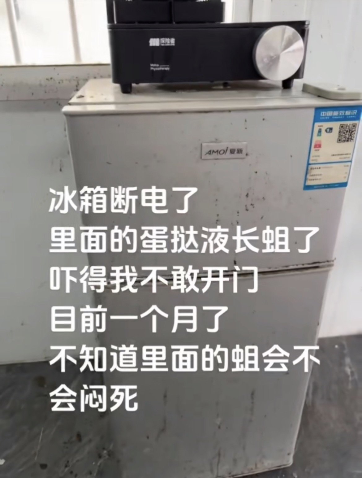 https://media.pincong.rocks/eccf1f10de9a4fdeacdf06d606842e39.jpg?width=1170&height=1544