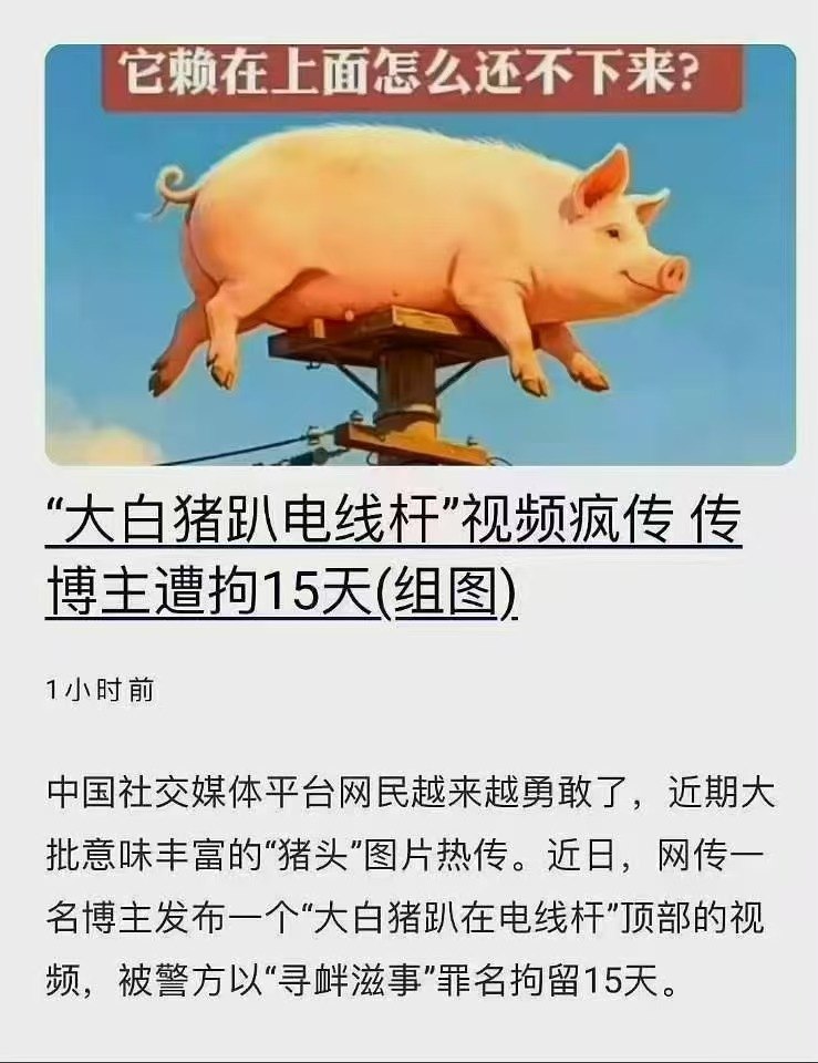 https://media.pincong.rocks/ee0387c4d7b944529ee2b3f1e73daf5b.jpg?width=739&height=960